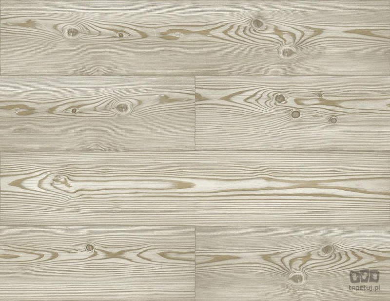 Woodlands JB21706 tapeta ścienna Wallquest