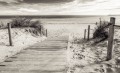 Fototapeta Zejście na plaże czarno- białe  2024