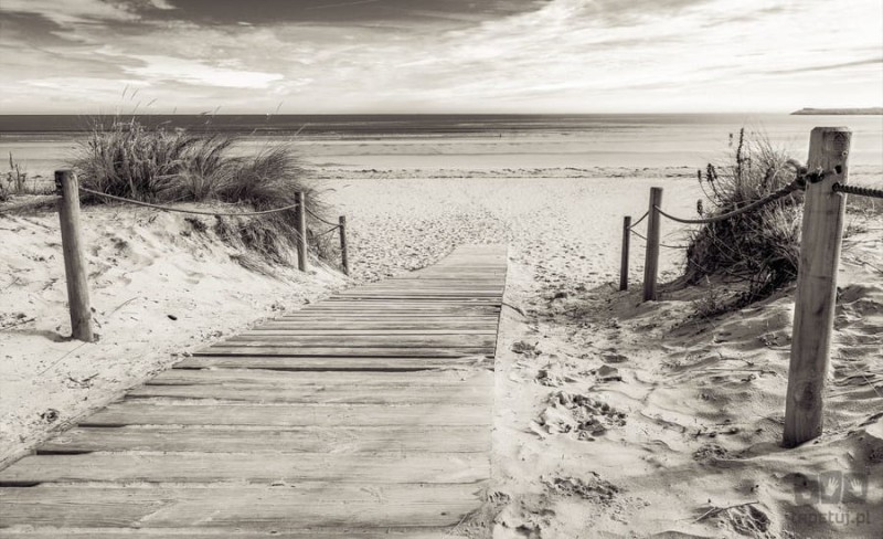 Fototapeta Zejście na plaże czarno- białe  2024