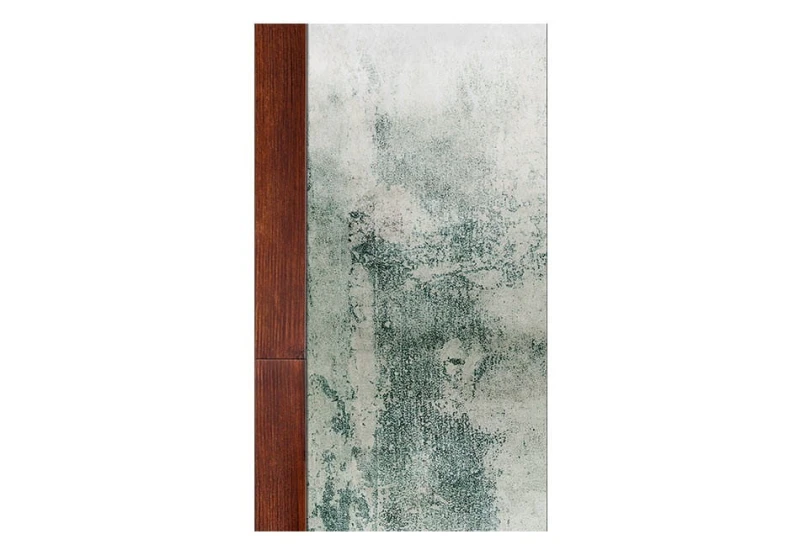 Fototapeta - Oszroniona ściana