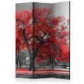 Parawan 3-częściowy - Jesień w parku [Room Dividers]