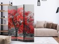 Parawan 3-częściowy - Jesień w parku [Room Dividers]