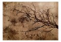 Fototapeta samoprzylepna - Rachityczna wiśnia