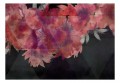 Fototapeta samoprzylepna - Romantycze kwiaty