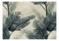Fototapeta samoprzylepna - Magiczne rośliny - pierwszy wariant