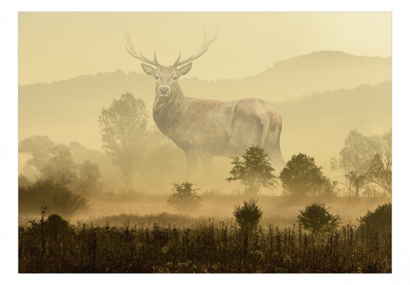 Fototapeta samoprzylepna - Senne wyobrażenie