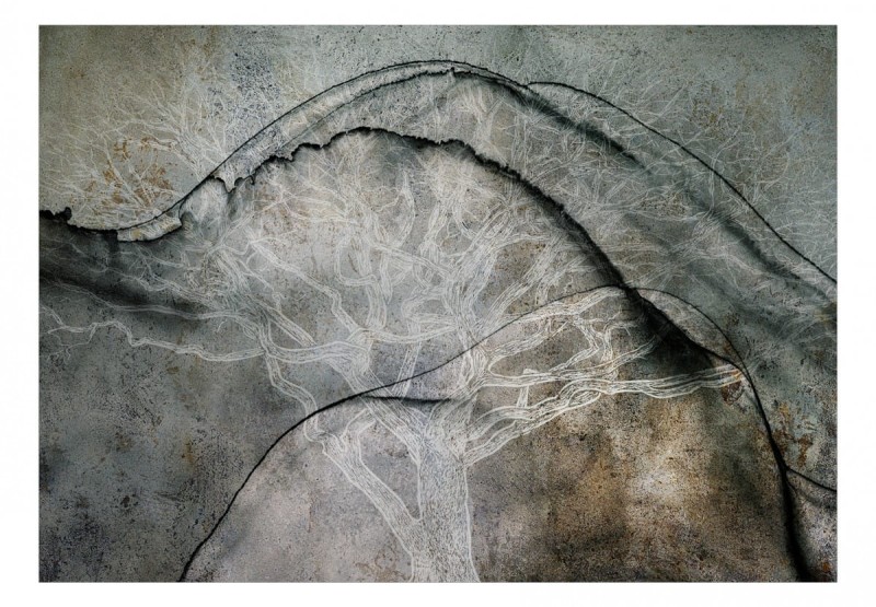 Fototapeta samoprzylepna - Alfabet drzew