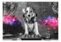 Fototapeta samoprzylepna - Pies DJ