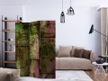 Parawan 3-częściowy - Żyjąca ściana [Room Dividers]