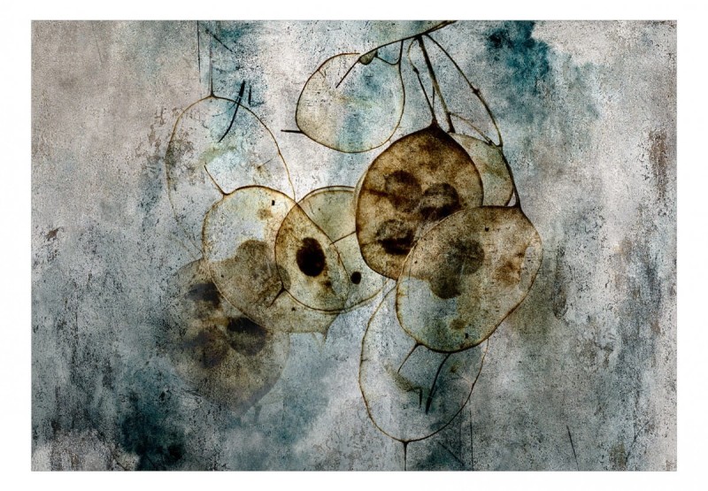 Fototapeta samoprzylepna - Naturia i lunaria