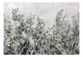 Fototapeta samoprzylepna - Tajemnica ziół