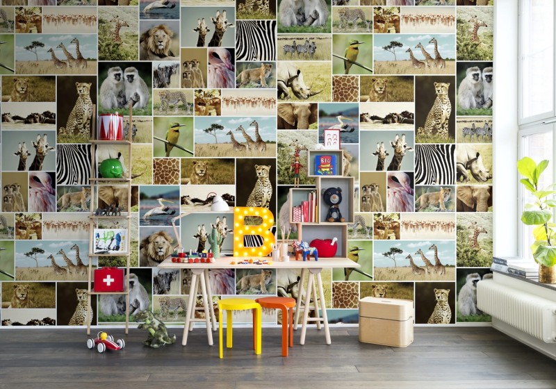 Fototapeta zdjęcia zwierząt z Afryki