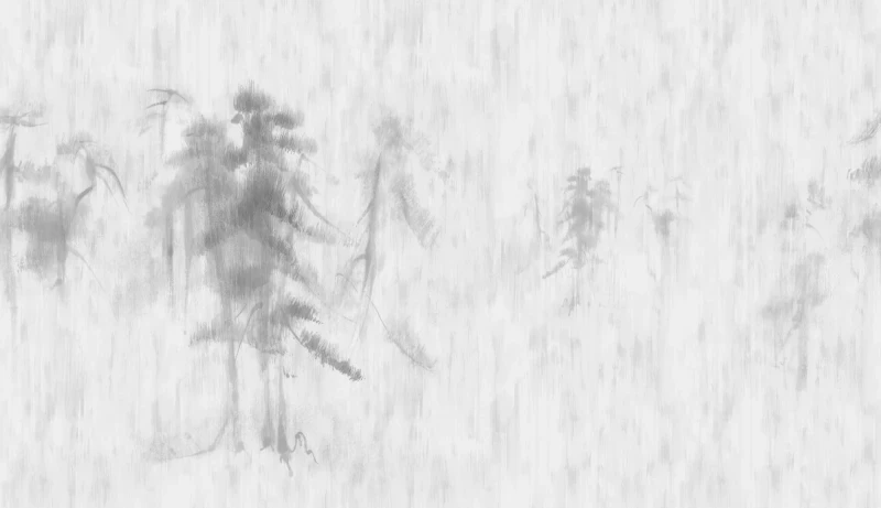 Fototapeta malowane sosny Azjatyckie
