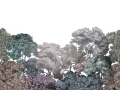 Fototapeta kolorowy las, drzewa