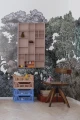 Fototapeta kolorowy las, drzewa