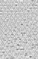 Fototapeta przypominająca mur z białej cegły