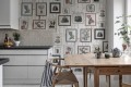 Fototapeta obrazy, zdjęcia kaktusów w ramkach