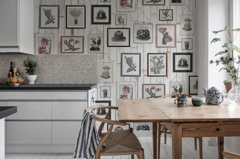 Fototapeta obrazy, zdjęcia kaktusów w ramkach