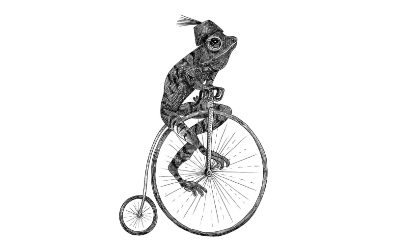Fototapeta żaba na rowerze cyrk czarno-biała