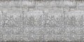 Fototapeta przypominająca beton z pnącymi się liśćmi