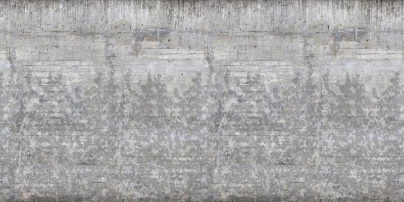Fototapeta przypominająca beton z pnącymi się liśćmi