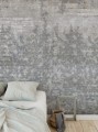 Fototapeta przypominająca beton z pnącymi się liśćmi