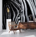 Fototapeta zebra z bliska