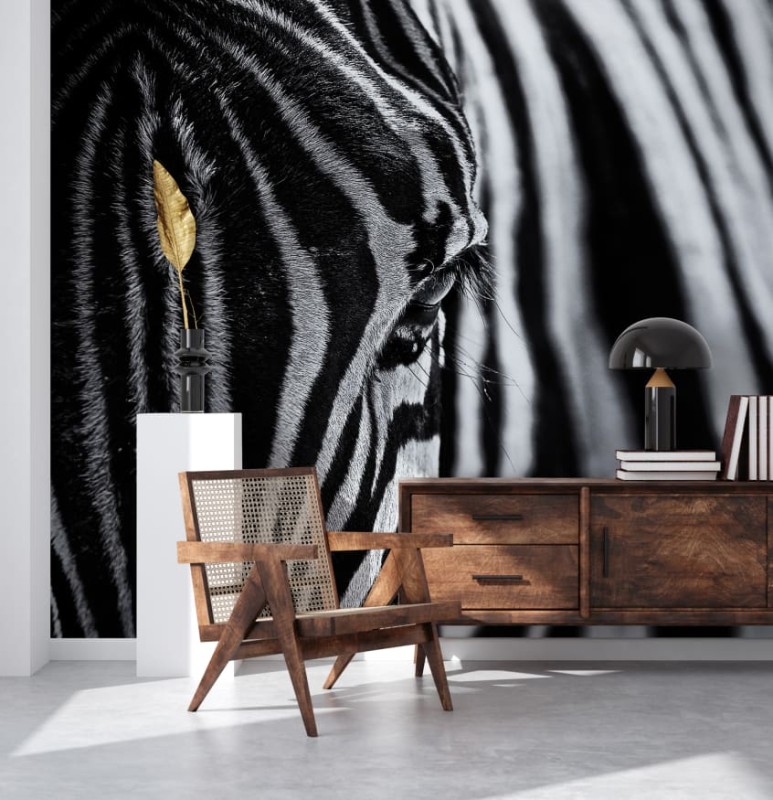 Fototapeta zebra z bliska