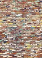 Fototapeta z motywem pomalowanych cegieł