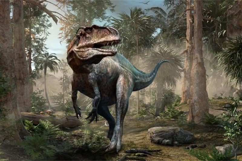Fototapeta Realistyczny dinozaur i palmy