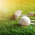 Fototapeta Piłka golfowa na trawie