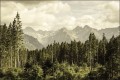 Fototapeta Las i góry