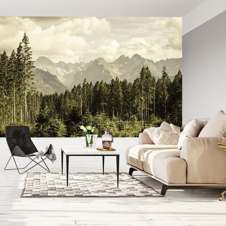 Fototapeta Las i góry