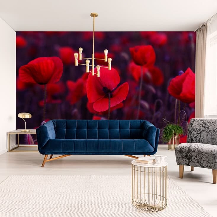 Fototapeta Dzikie czerwone maki