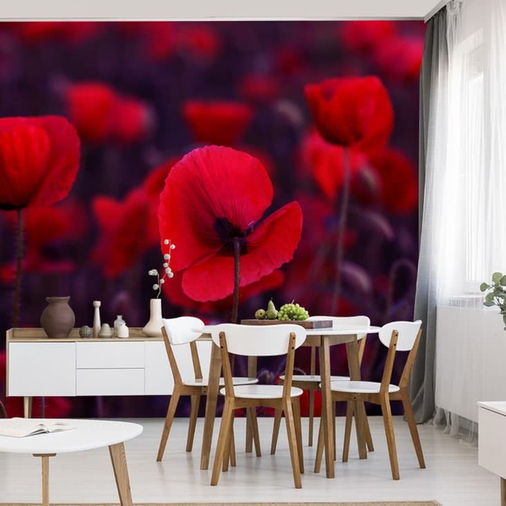 Fototapeta Dzikie czerwone maki
