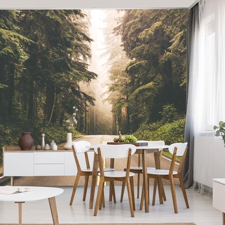 Fototapeta Droga w amerykańskim lesie