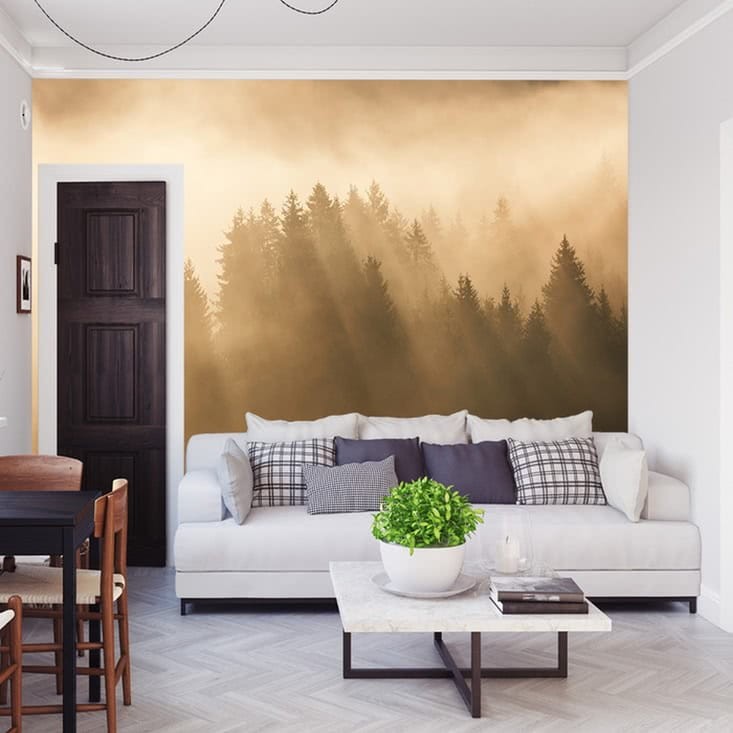 Fototapeta Las we mgle