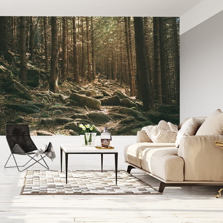 Fototapeta Las, drzewa i kamienie