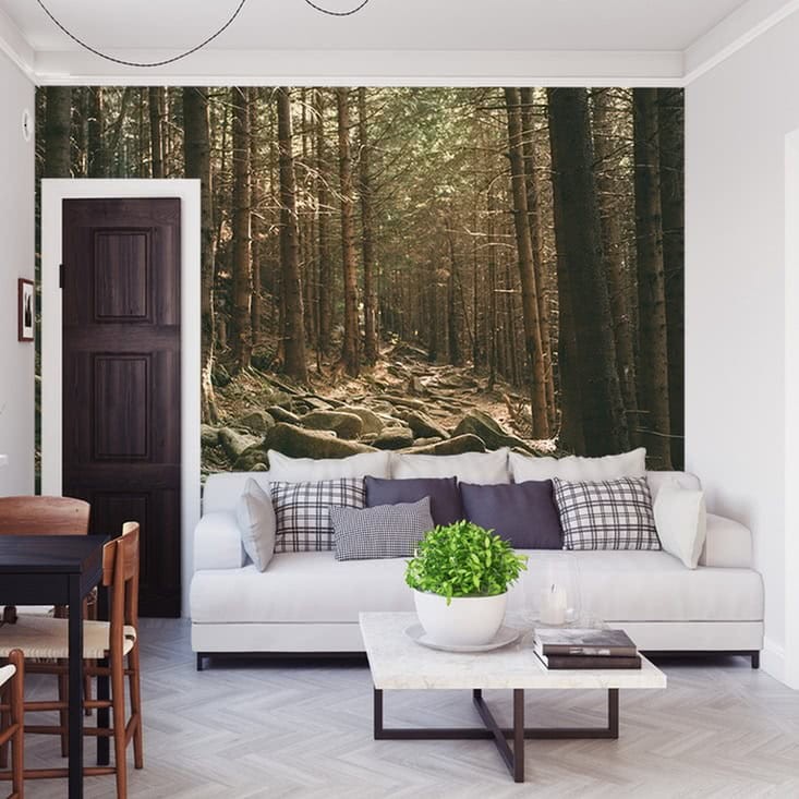 Fototapeta Las, drzewa i kamienie