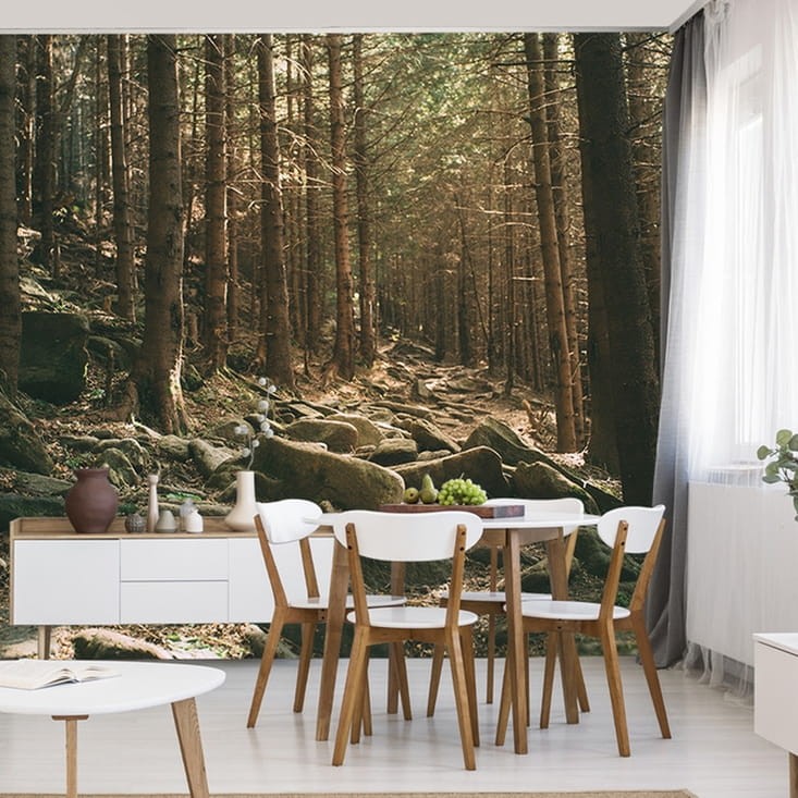 Fototapeta Las, drzewa i kamienie