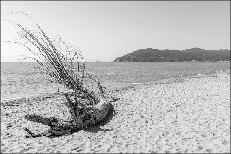 Fototapeta Plaża, morze i piasek czarno-biała
