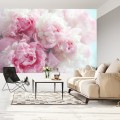 Fototapeta Kwitnące peonie