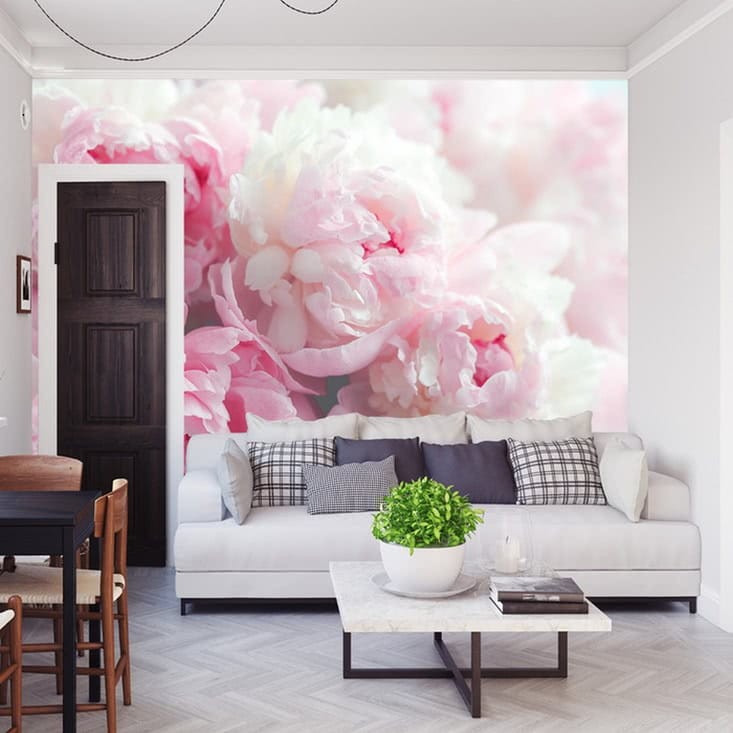 Fototapeta Kwitnące peonie