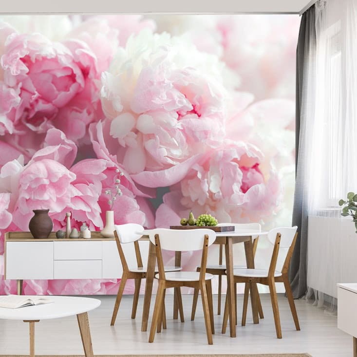 Fototapeta Kwitnące peonie