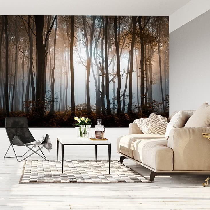 Fototapeta Las i drzewa