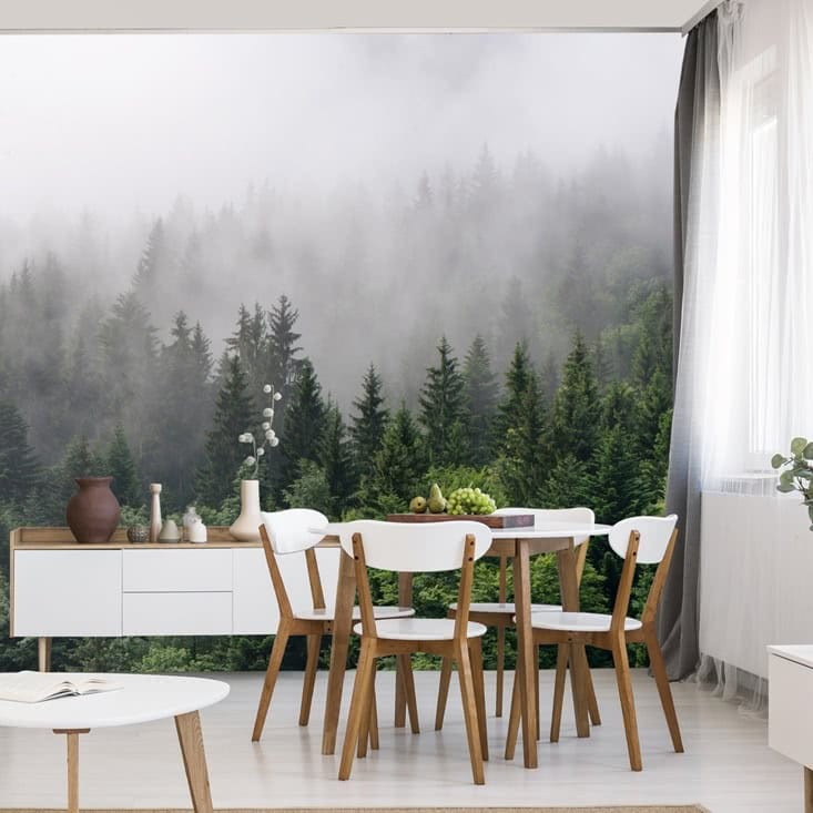 Fototapeta Drzewa we mgle