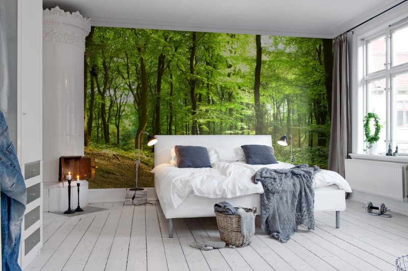 Fototapeta widok na bujny, zielony las