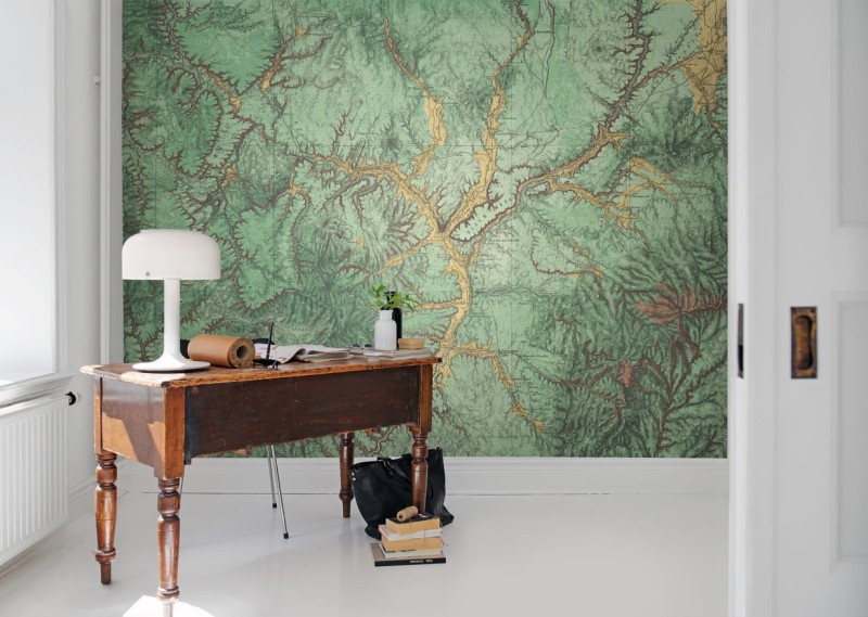Fototapeta leśna mapa