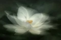 8819949b5c58505027d69b32e5cca9b0