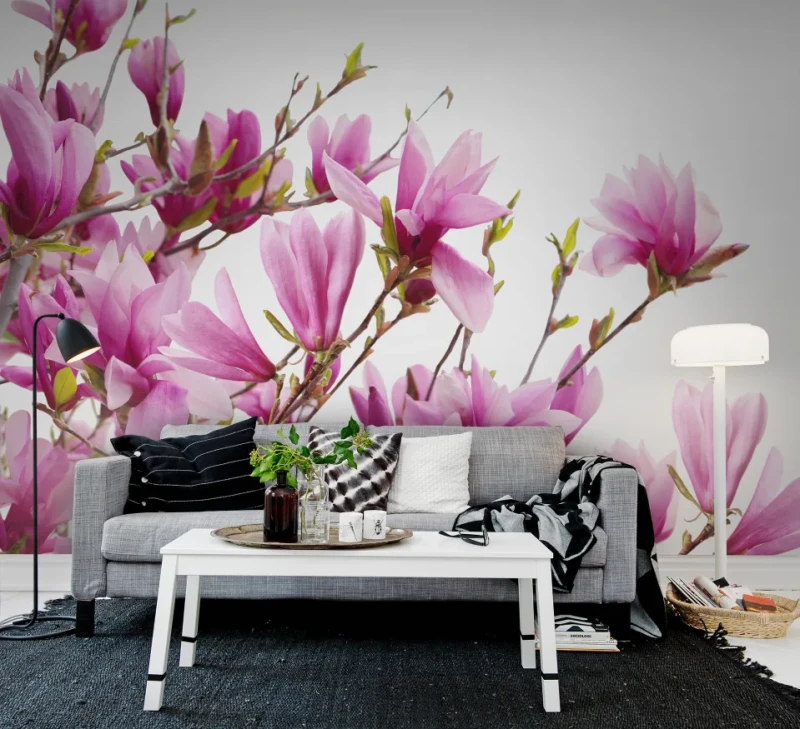 Fototapeta kwitnące kwiaty magnolii